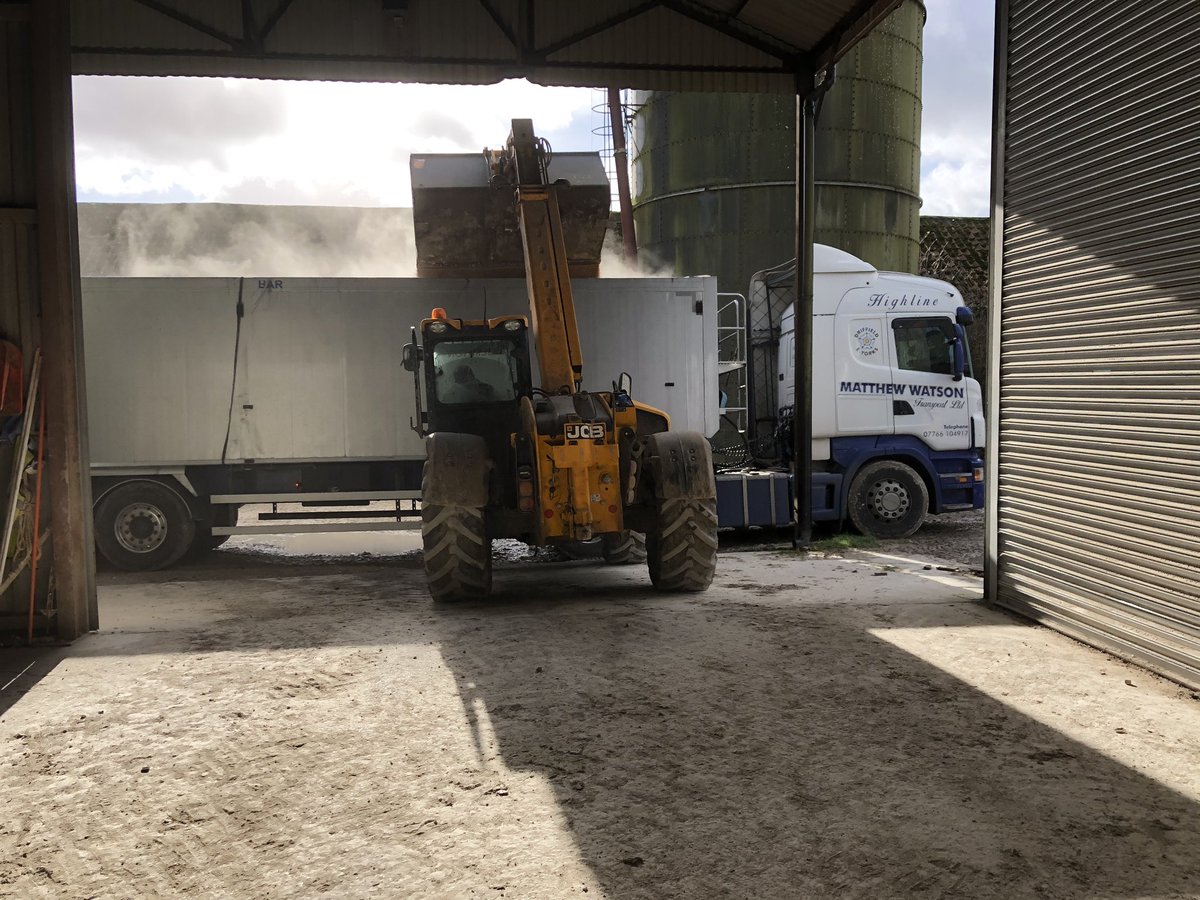 Loading feed wheat in #fridaythorpe on the #YorkshireWolds for @Cefetra  Its not raining but it’s #blowingahooley up here!! #grain #haulage #farming