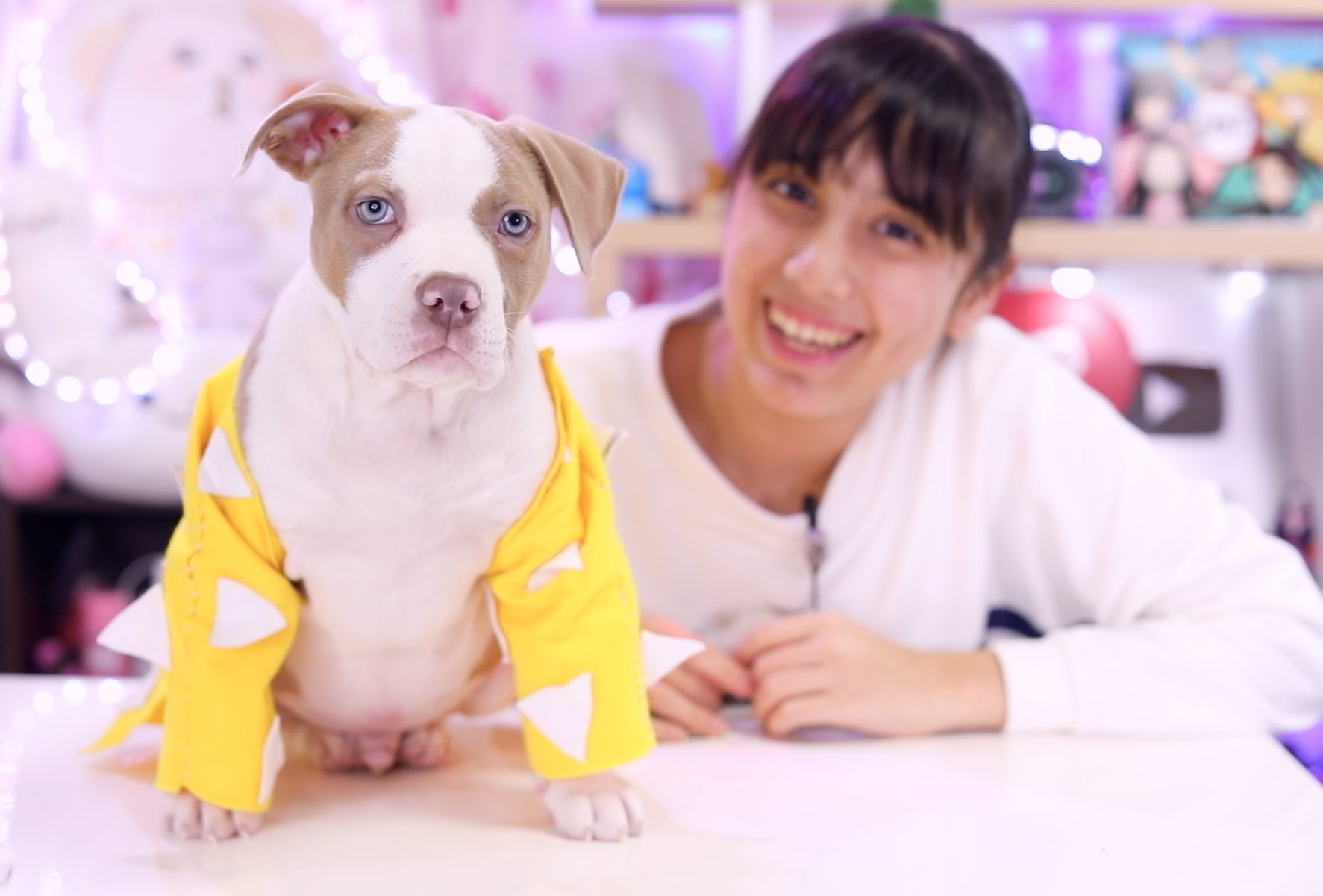 Riku Channel No Twitter 昨日の動画ではロッキーが善逸のコスプレをしたよ 超可愛い まだ見てない方は是非youtubeで見てね 鬼滅の刃 コスプレ ピットブル 犬 ペット 可愛い アメリカンピットブル アメリカンピットブルテリア T Co Reigrzruqm Riku Channel No Twitter 昨日の動画ではロッキーが善逸のコスプレをしたよ 超可愛い まだ見てない方は是非youtubeで見てね 鬼滅の刃 コスプレ ピットブル 犬 ペット 可愛い アメリカンピットブル アメリカンピットブルテリア T Co Reigrzruqm