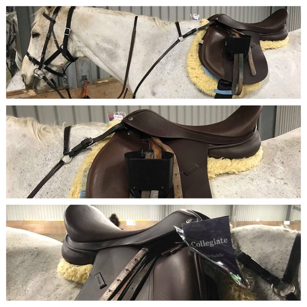 Bart wearing the new saddle the group won as part of the 50th year celebrations. Thank you Collegiate <a href="/WeatherBeetaUK/">WeatherBeeta UK</a> <a href="/RDAnational/">Riding for the Disabled Association (RDA)</a> <a href="/ClaireRDA/">Claire Milican</a> @edrda