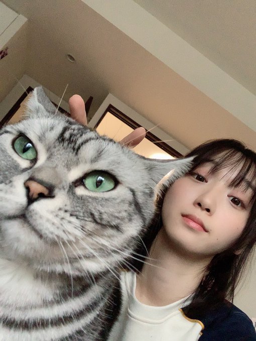 コスプレイヤー伊織もえのTwitter画像9