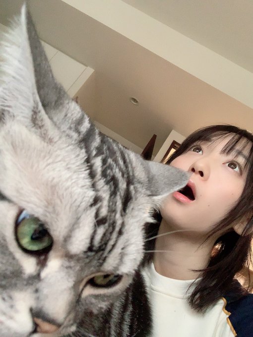 コスプレイヤー伊織もえのTwitter画像10