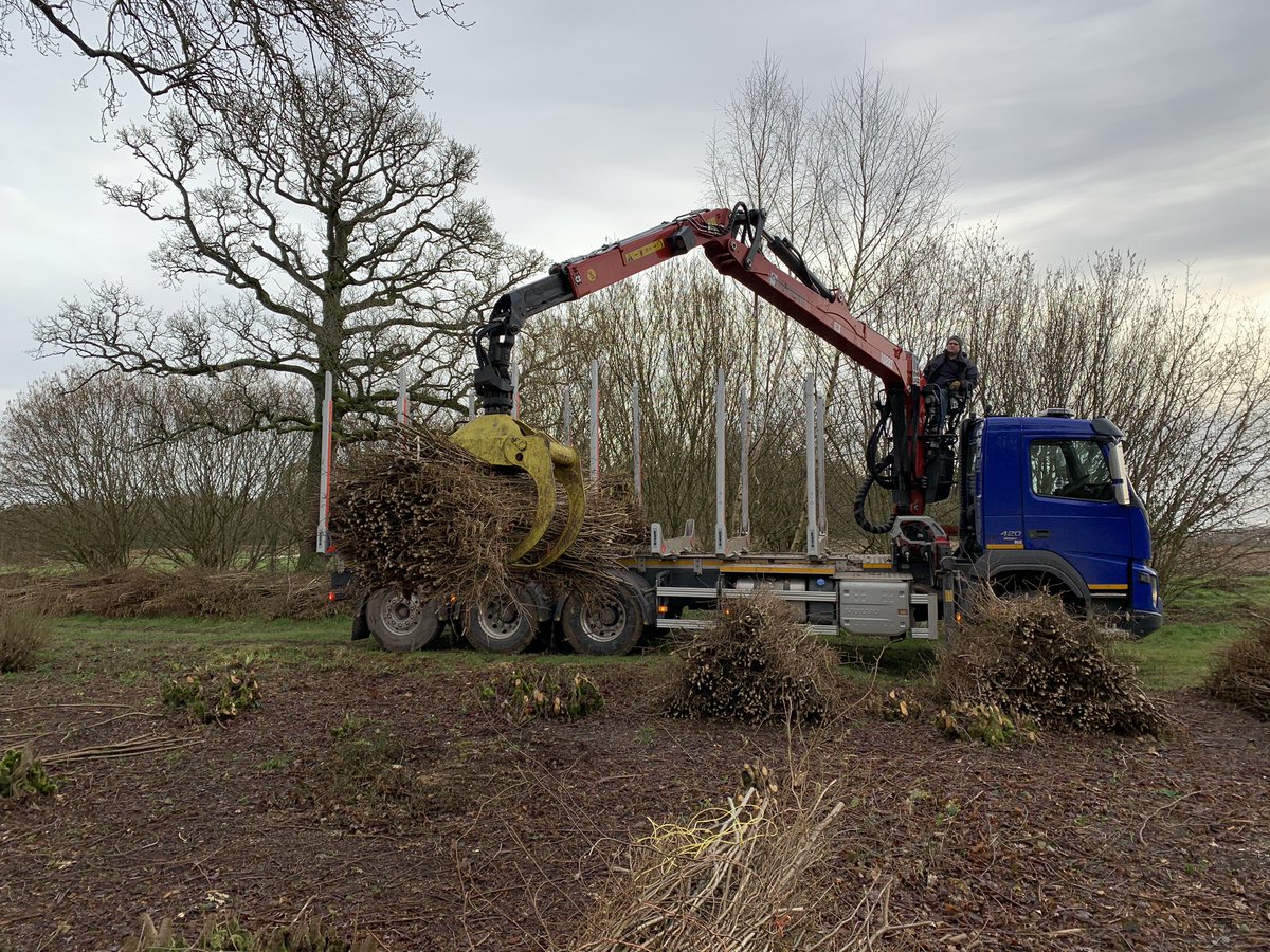 The work hasn’t changed much over the years but I love looking through ‘Woodland Crafts in Britain’ by H.L.Edlin so I can appreciate modern machinery.