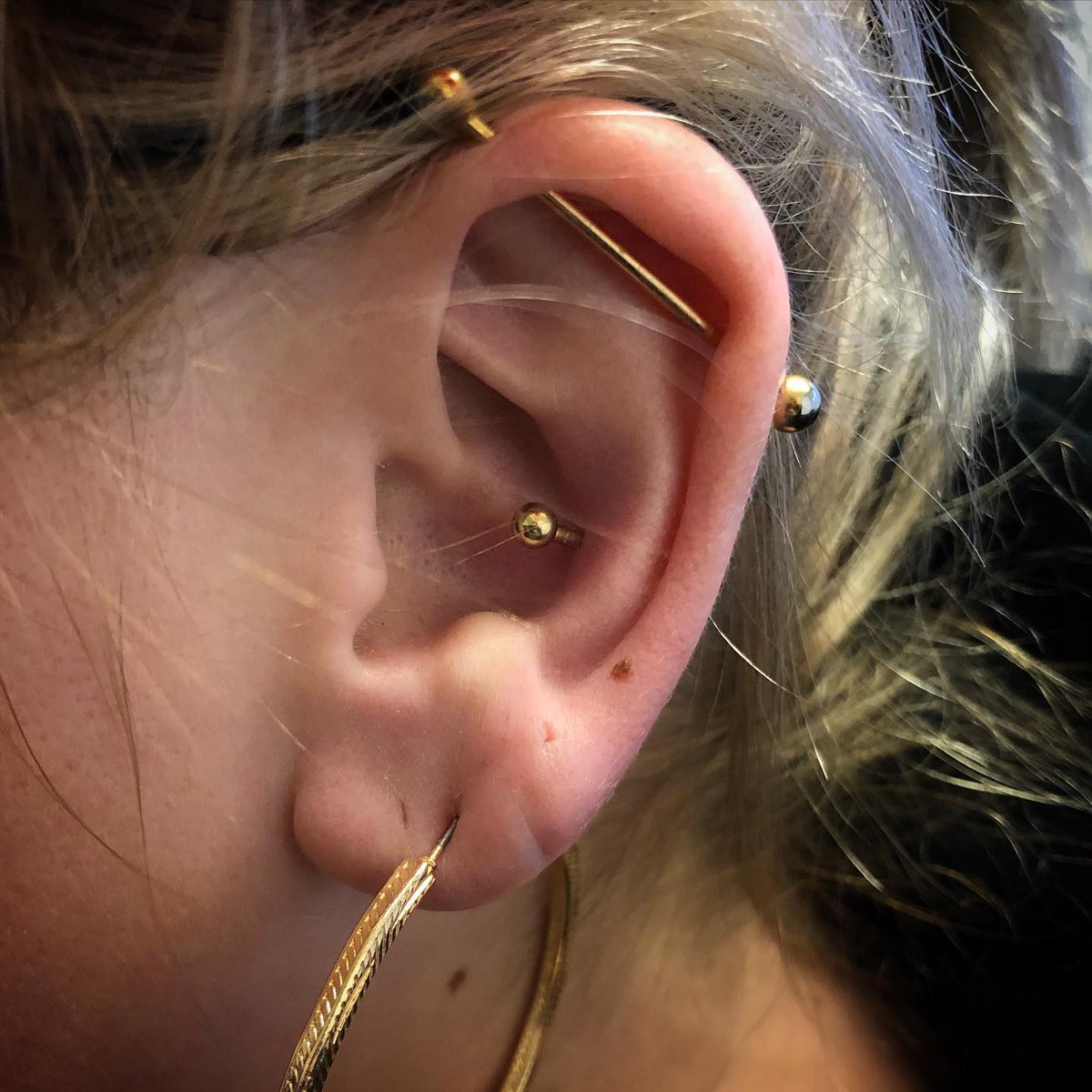 SnakebiteDublin's tweet photo. Conche piercing by Stephen. Pierced with a 1.6mm gold coloured titanium barbell. All gold everything. Thank you Jennifer
.
#piercer #piercing #piercings #pierced #helix #earring #conche #scaffold #industrial #gold #smile #titanium #jewellery #bodymods #dublin #ireland #fun #happy https://t.co/yDuo9G1slG