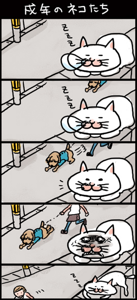 ねこまんが1

「戌年のねこ」

 #猫の日 