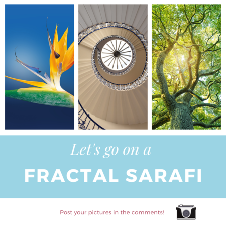 getoi_'s tweet photo. Grab your phone or camera and let’s shoot some #fractals! You’re invited to enjoy some time finding some nature that suggests or shows fractal form. Then, share some of your fractals here and check out what others post too. Enjoy!

#organicintelligence #endoftrauma #HEART #getoi https://t.co/QFD7IahGCM