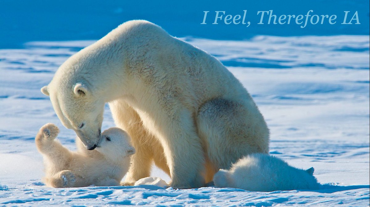 morville's tweet image. My @WorldIADay keynote, Gentle Change, is dedicated to our beloved dog, Knowsy. We miss her every day.

Here are the slides: drive.google.com/file/d/1PRvnPh… @WIAD_AnnArbor #A2WIAD #WIAD2020