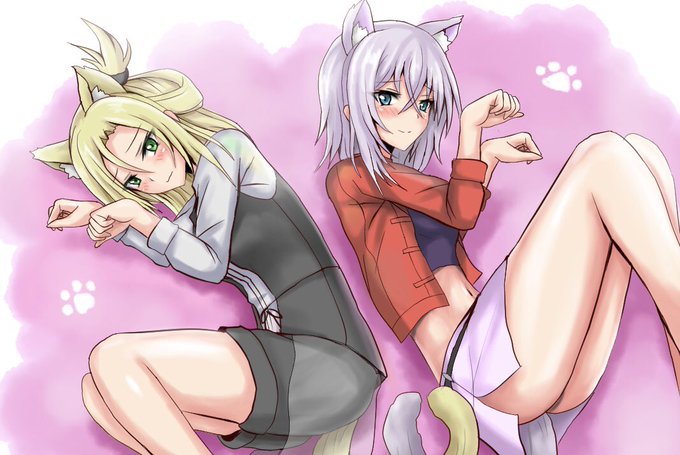 去年の猫の日って自分何描いてたか思い出せなくて過去絵見てみたら、その時何を思ってたのかそのまんまミサコー猫っていう… 