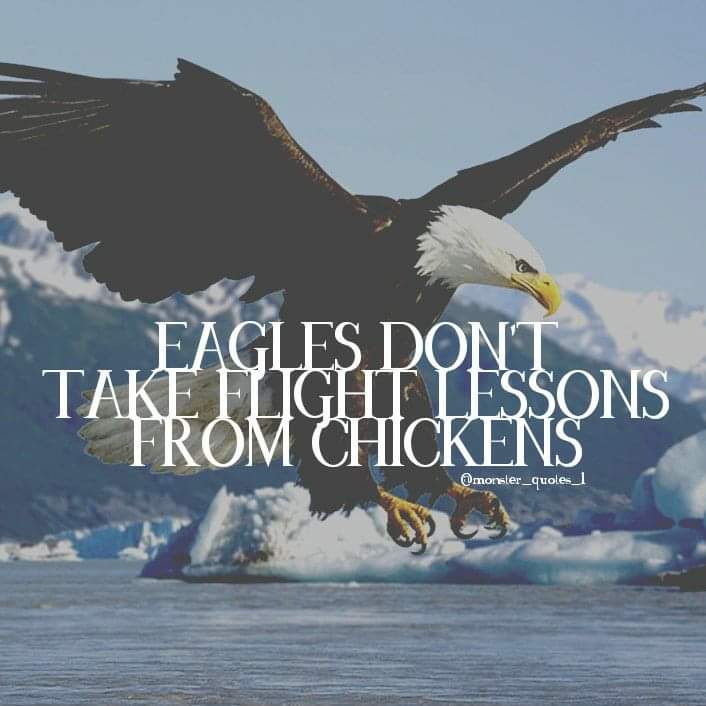 Dxnganoderma19's tweet image. #eagles