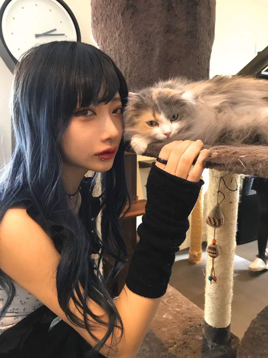 かてぃ プリキュアみたいな髪色して初めての猫カフェに行ってきた 全然心開かれなかったけど最後開かれて延長しかけた かてぃ プリキュアみたいな髪色して初めての猫カフェに行ってきた 全然心開かれなかったけど最後開かれて延長しかけた