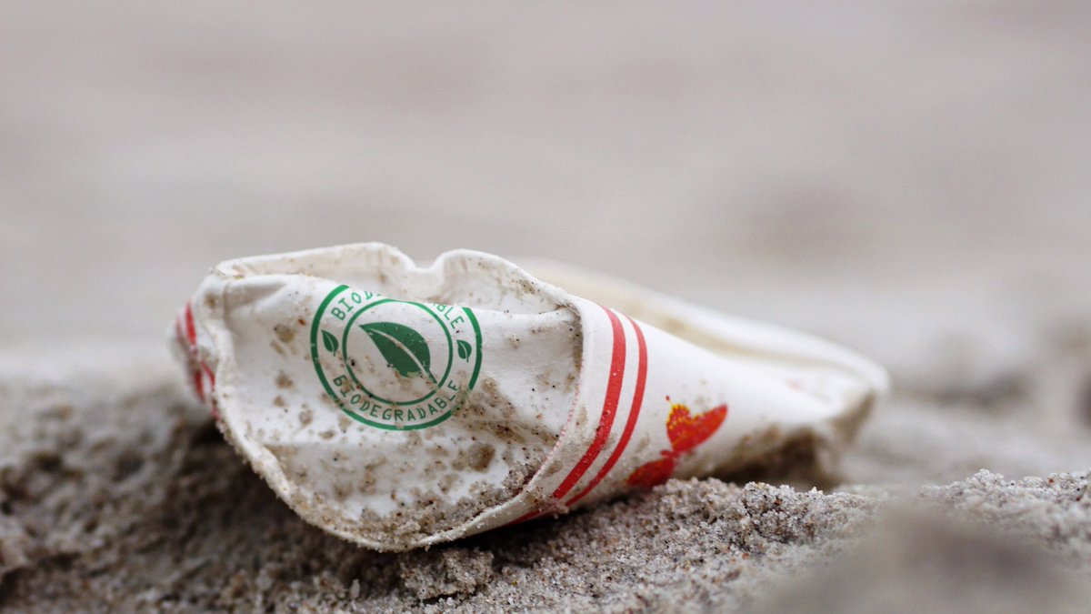 Free course launch - The Decision Tree!

A free course that helps baristas and cafe owners make informed decisions on how to operate in a world beset by climate change. Read the prologue to this course here: baristahustle.com/blog/course-th…
#greenwashing #climate