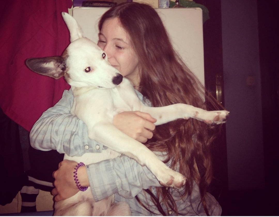 estefaniarc95's tweet photo. #EmbajadorTrueInstinct @trueinstinctpetcare https://t.co/rqEPxapoW7