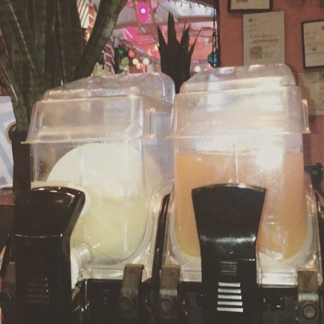 TikiPhilly's tweet photo. Come celebrate national margarita day at Tiki! #frozenjawns #thatstikibaby #tikiphilly https://t.co/88AIKsDMWJ