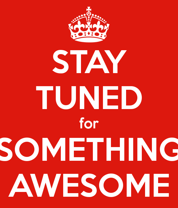 Terry Raskyn for Putnam Valley Town Board tweet media