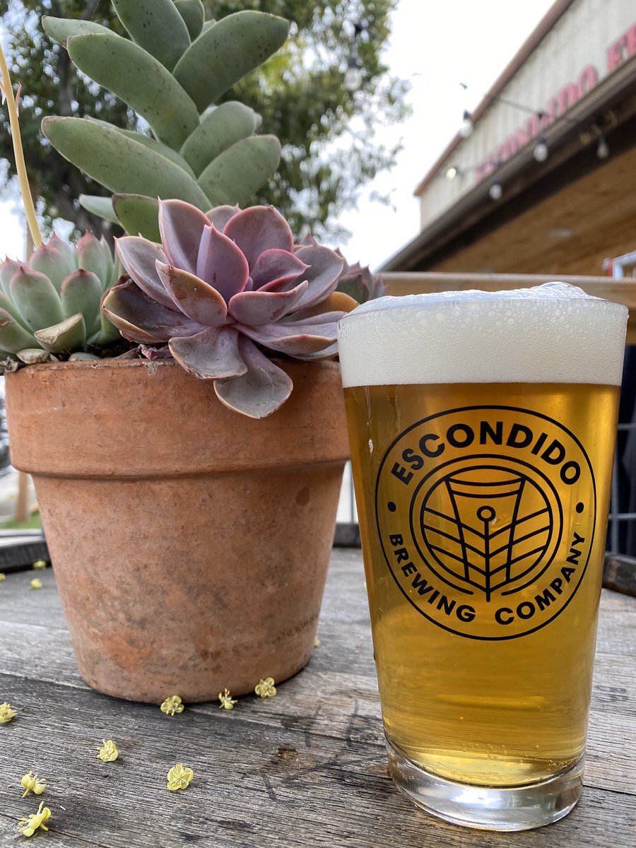 escobrewco's tweet photo. We have some delicious tacos today @escobrewco from 2-8 and you don’t want to miss our new Queen Califia IPA! #cheers #sdbeer #indiebeer https://t.co/Rl6XktkkgO