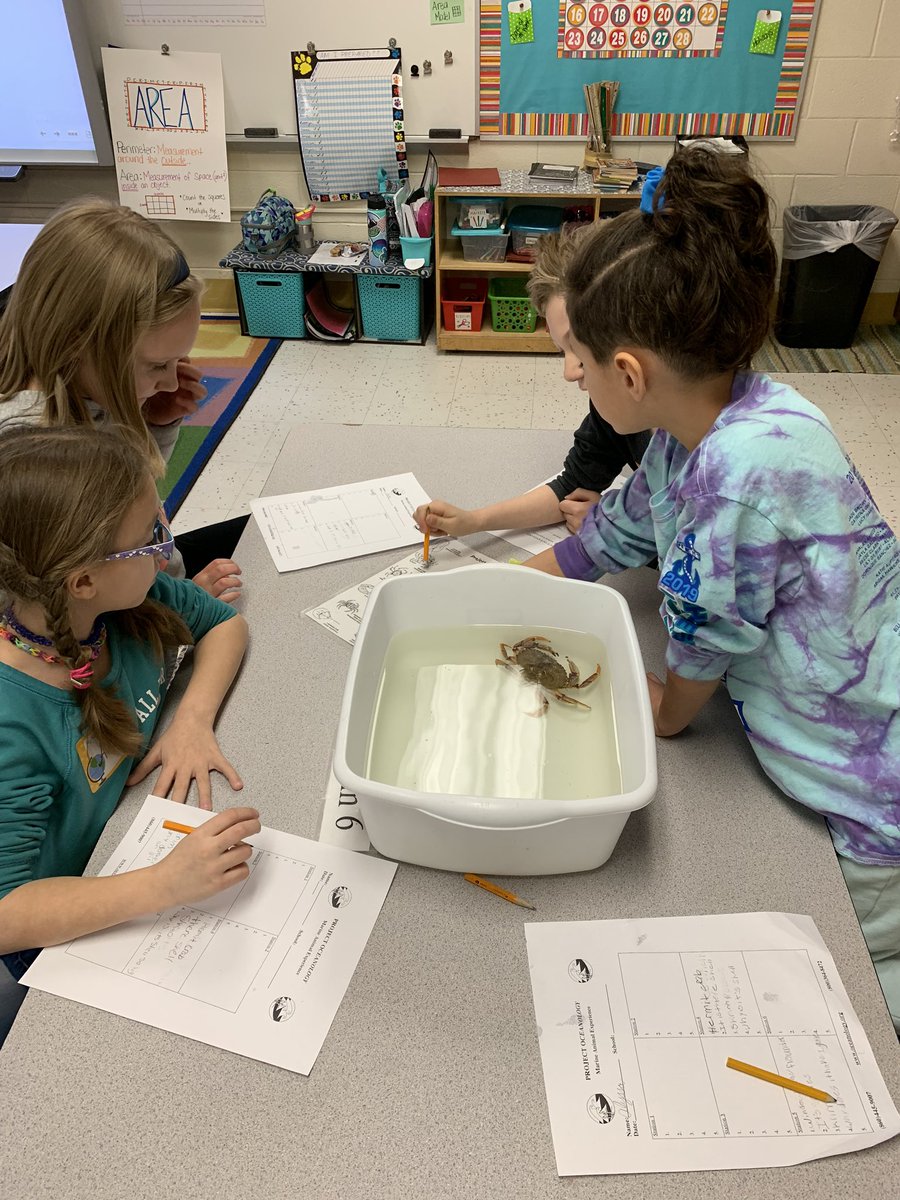 Busy day yesterday: Penguin Palooza for Mrs. Rohde’s class and a visit from Project O for 3rd graders!