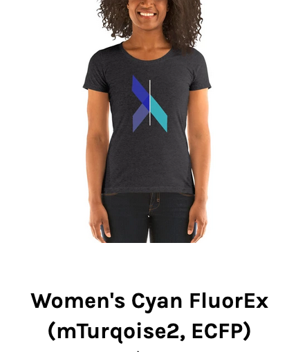 joachimgoedhart's tweet photo. T-shirt - graphic inspired by #mTurquoise2 - nice stuff @fluorcyte !
https://t.co/PncVBO7Dg4 https://t.co/JAA1rnm02X