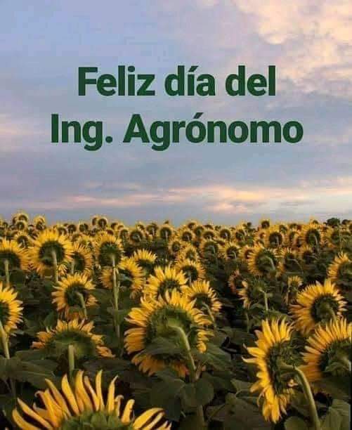 CESVOAX's tweet photo. https://t.co/eM2KBxQK4c