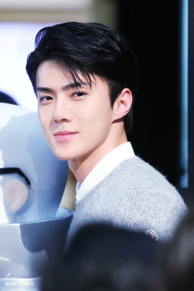 Sehun-Oh SehunPower: Wind Wind has the power to be gentle but also dynamic, just like that he is a man with versatility and a strong personality who makes him caring and easily lovable by people around him.
