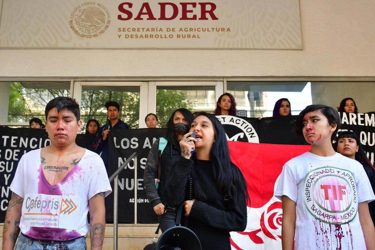 DxECDMX's tweet photo. Acción La ley de rose a las puertas de la industria animal.
SADER miente, el bienestar animal no existe.
📸 Arturo Alvarado / Elisa Flores
#laleyderosemexico #dxecdmx #sadermiente #sader #sagarpa https://t.co/qEz6tgkJ5C