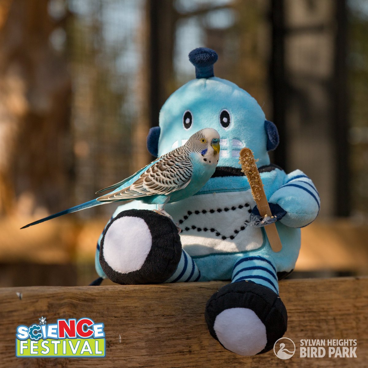 moreheadplanet's tweet image. What better way to celebrate biodiversity than with Kelvin hanging out with a bird friend! 💙 

@scioly2020 @NCSciOlympiad @GreatSmokyNPS #WonderChallenge #TheWonderfulWorldofBiodiversity