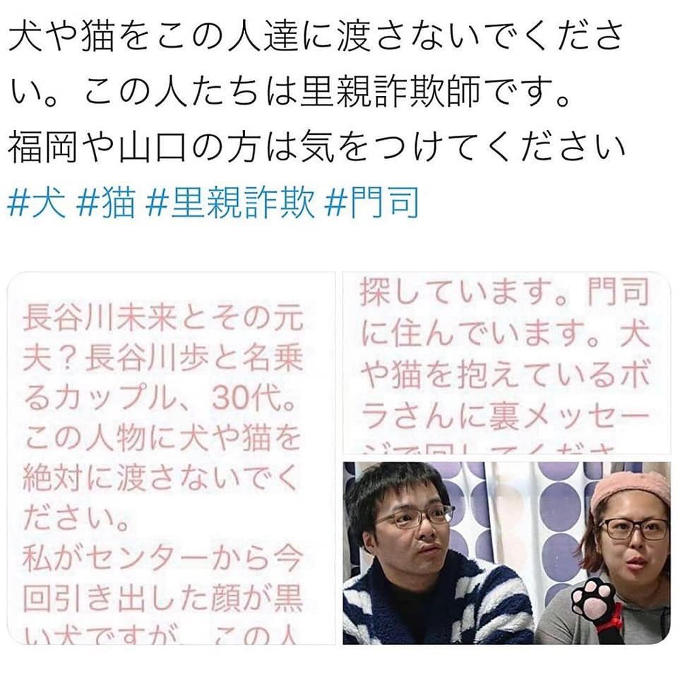 Bigbang En Twitter 福岡県 北九州市門司区在住 の夫婦 里親詐欺 情報です 猫 が狙われています 福岡近県の方も注意してください 拡散希望 Bigbang En Twitter 福岡県 北九州市門司区在住 の夫婦 里親詐欺 情報です 猫 が狙われています 福岡近県の方も注意してください 拡散希望