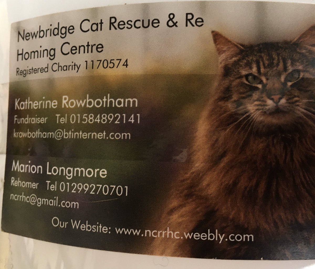 local cat rescue centres
