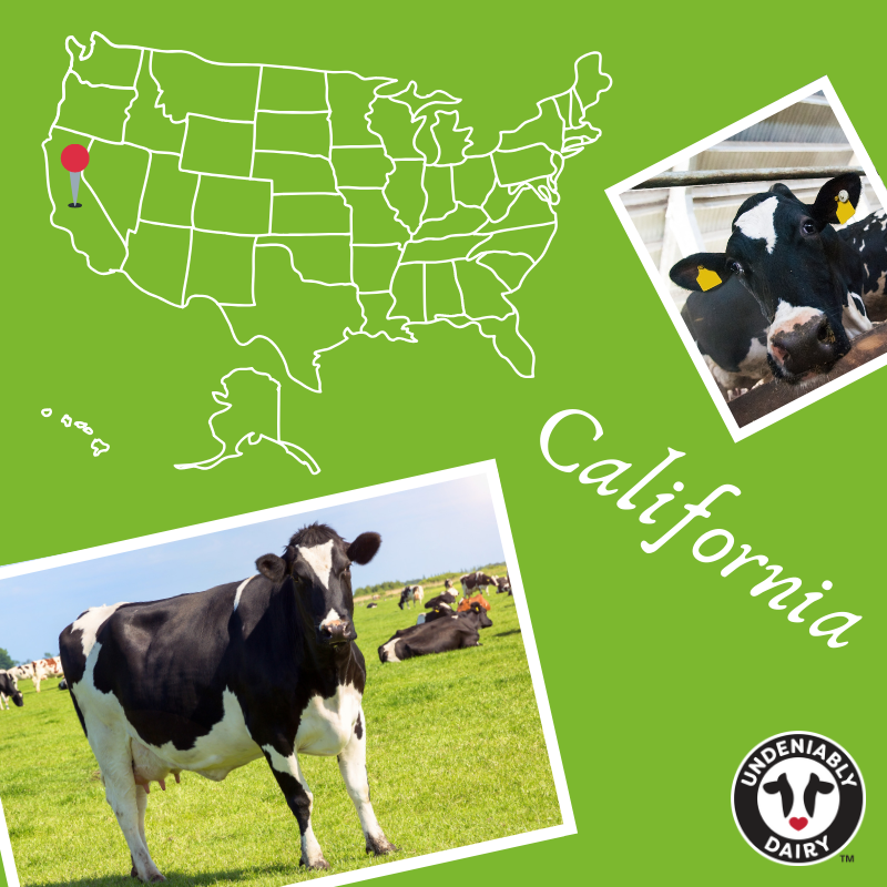 dairyleaders's tweet photo. Did you know that California is the top dairy producing state? They have been number one since 1993 and have produced a total of 4.9 billion gallons of milk since 2008! #CaliforniaDay #unitedstatesofdairy #undeniablydairy 🥛🥛🥛 https://t.co/4AOpREeKEn