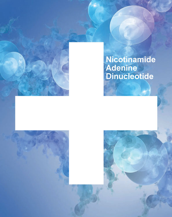 #NAD+ has a unique ability to protect tissues, induce DNA repair, and increase life span. To understand how NAD+ can prevent aging, we have to look at an increasing subject of aging #telomeres. Please call our office at (623) 226-1041 for more information. ow.ly/VNn230pMxRf