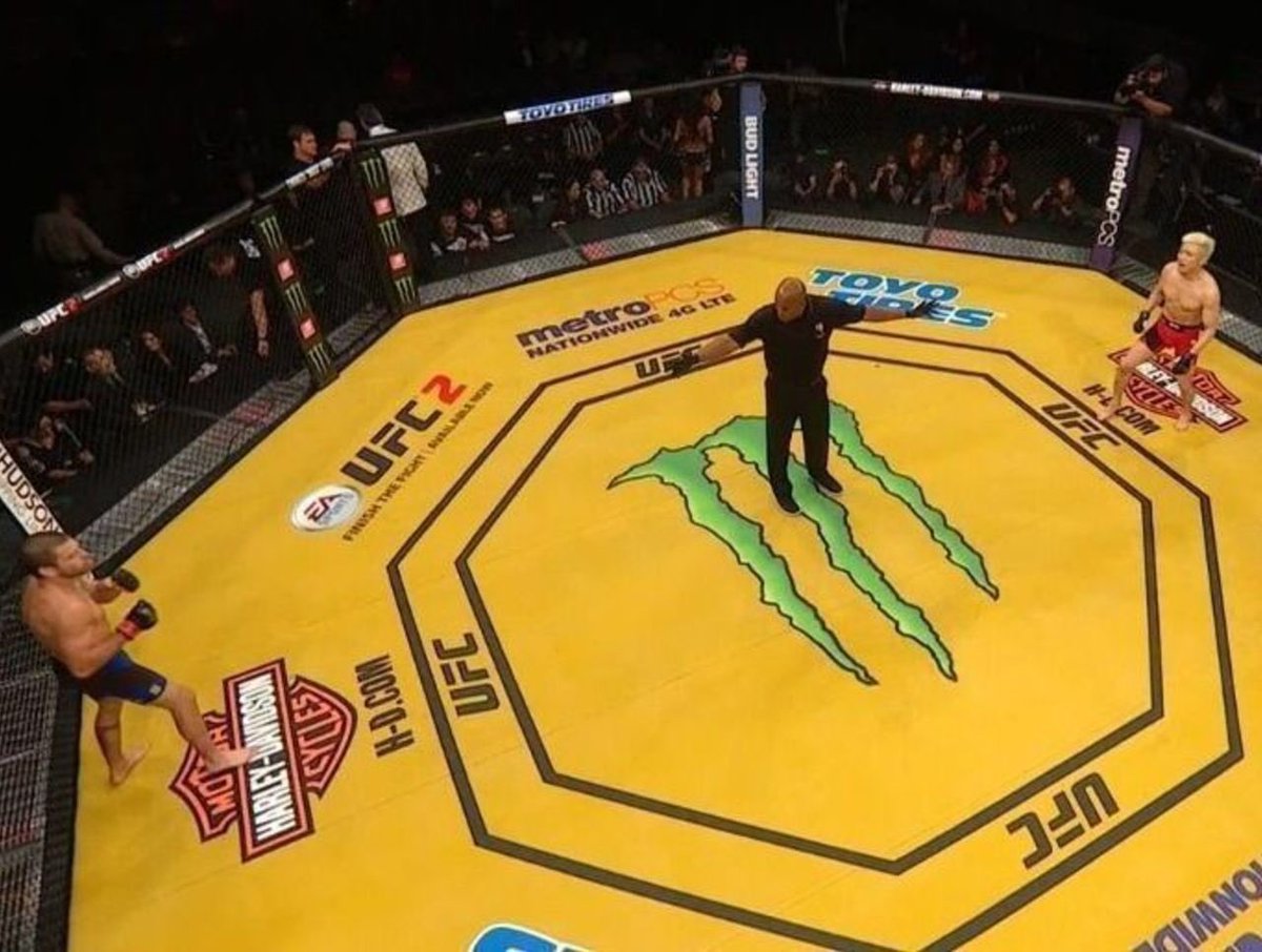 Do you guys remember the canvas from #UFC200? I remember that shit being annoying as fuck lol. Have they done it since?