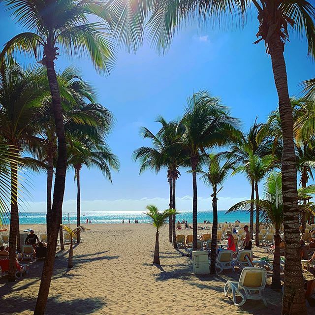 GS_adventures's tweet photo. No fun to be had whatsoever. #mexico #playa #sarcasm https://t.co/lHwLBoHdUJ https://t.co/3QClBukTY4