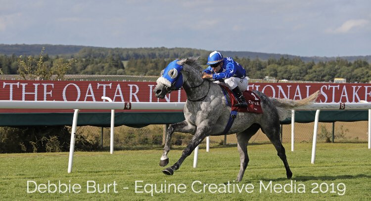ArabianRH's tweet photo. #congratulations to #dohatriplecrown #winner #Ebraz @maximeguyon_off #juliansmart @AlShahaniaStud1 #qatarinternational @Goodwood_Races #qatararbianworkdcup @paris_longchamp #HHAmirSword @Q_REC #legend @ARO_Racing @afac_contact https://t.co/bMhZmV7x36