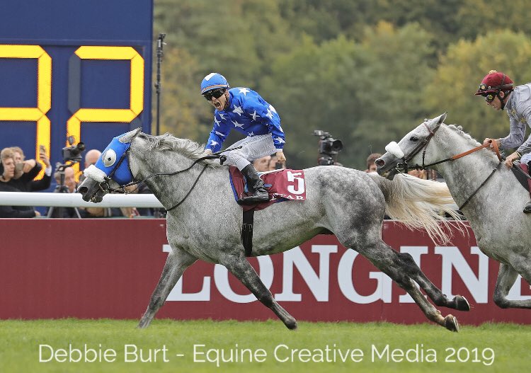 ArabianRH's tweet photo. #congratulations to #dohatriplecrown #winner #Ebraz @maximeguyon_off #juliansmart @AlShahaniaStud1 #qatarinternational @Goodwood_Races #qatararbianworkdcup @paris_longchamp #HHAmirSword @Q_REC #legend @ARO_Racing @afac_contact https://t.co/bMhZmV7x36