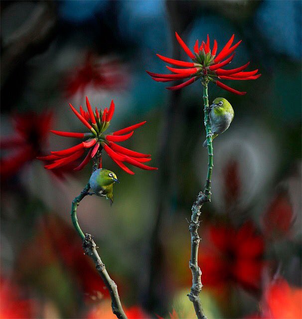 Have a very nice evening 🙋🏻‍♂️🌹