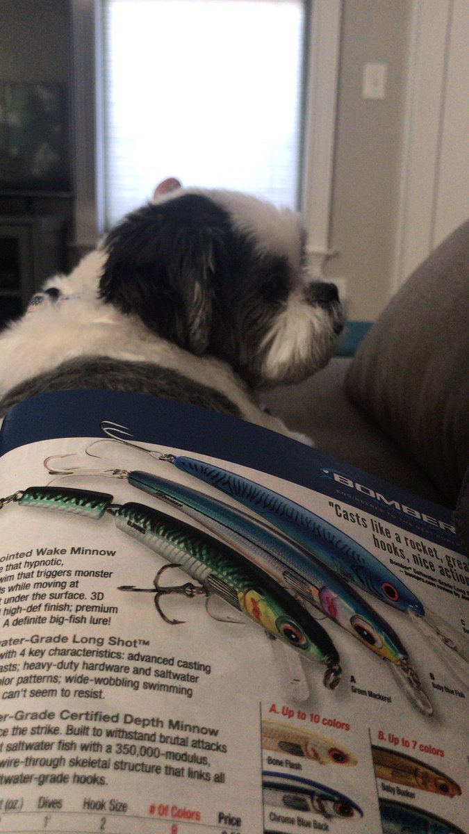 Fishing season is getting closer... Basspro catalog and hanging with Buddy.