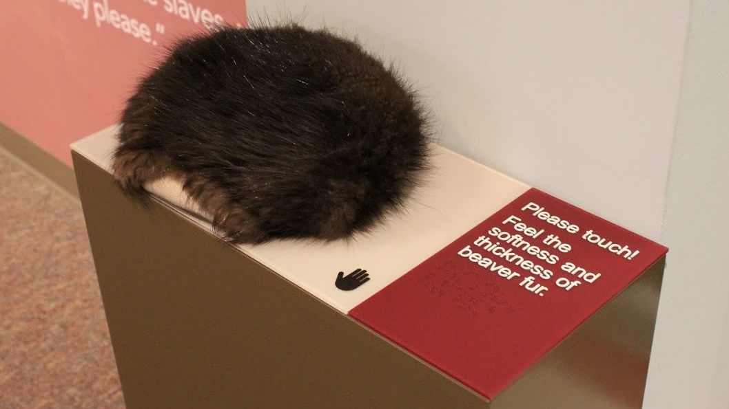 mohistorymuseum's tweet photo. Just how soft is beaver fur? Stop by our #MightyMississippi to find out—this beaver pelt representation is just one of many touchables in the exhibit that help you experience history hands-on. #AccessMHS https://t.co/OWGsjlU8nh