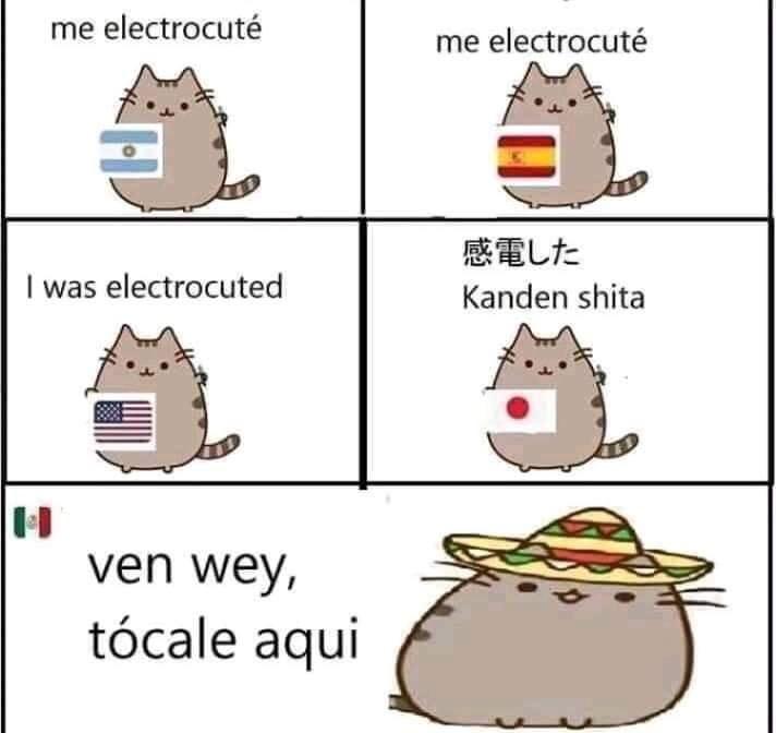 AlarmaGdl's tweet photo. LA NETA! JAJAJA https://t.co/em4nVFKtJE