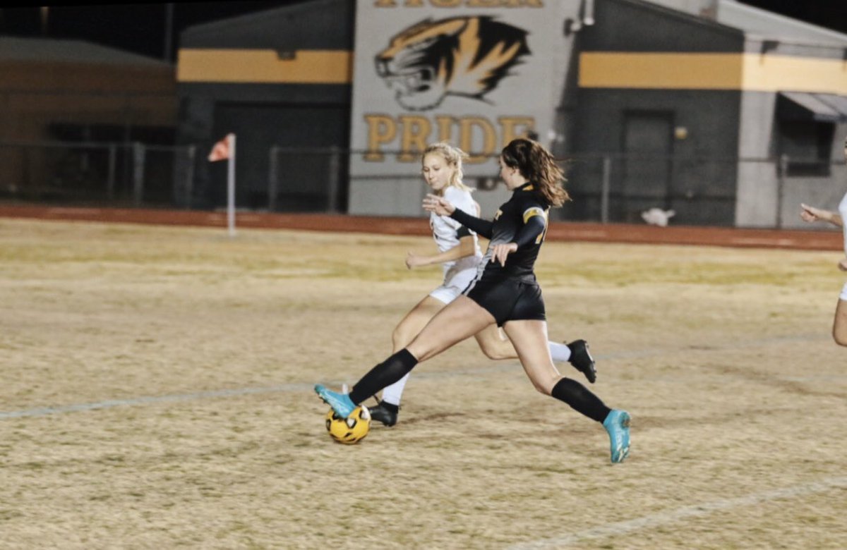Region Offense Player of the Year is Sarah Boudreau!! So proud of this tiger and to call her our teammate &amp; family! Congrats on such an amazing season Sarah!!💛🖤