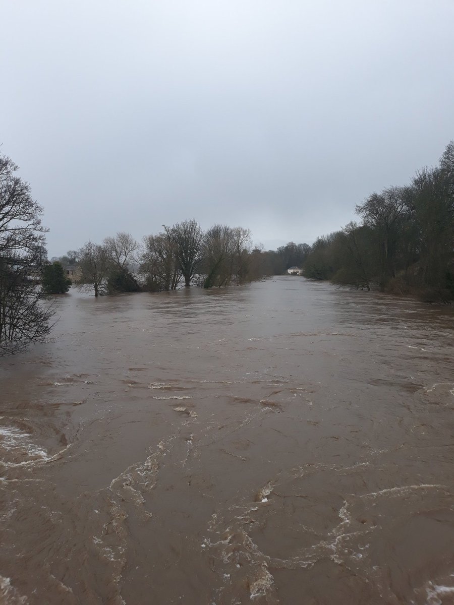 Jason Priestley tweet media