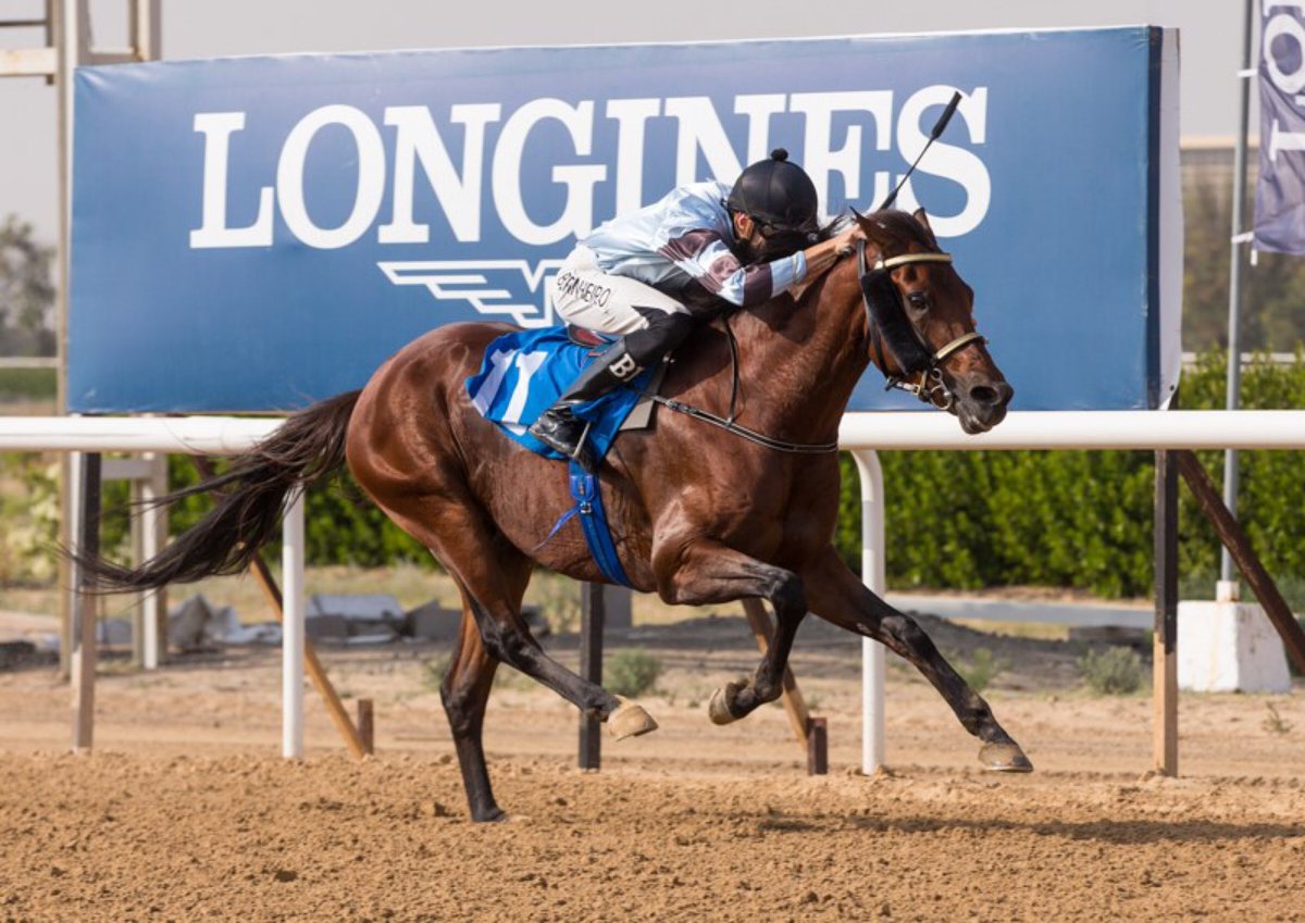 JockeyBPinheiro's tweet photo. Sharjah Longines Racecourse @serc_uae 22/February/2020 🏆
Mh Tawag (AE) wins the Longines HydroConquest Handicap for the trainer @Mhstable8 and owner Mansoor Khalifa Sultan bin Habtoor.

https://t.co/dfktkyohhg https://t.co/XBHruiWLEp