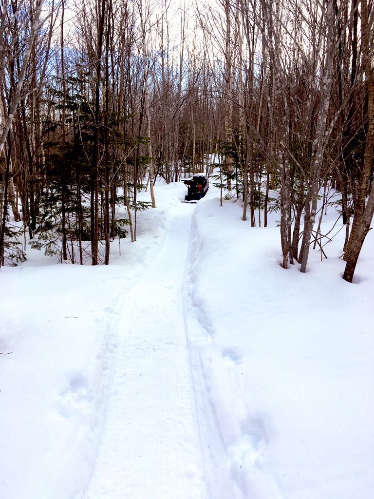 Keppoch_Trails's tweet photo. #fatbike & #snowshoe #trails are in great shape at #Keppoch #Antigonish #NovaScotia #snowdog. Pics are fresh from this morning! @AntigonishCo @AntigonishTown https://t.co/Cj1eJxJsHU