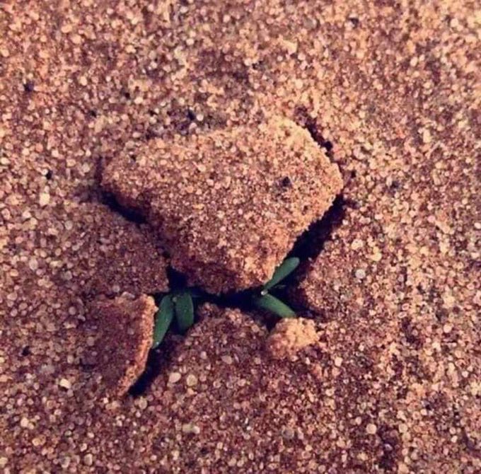 كانت كل الأبواب مغلقة .. حتى اتى أمر الله 💙
فقط قل “يا الله