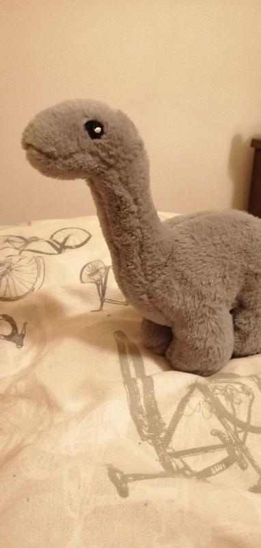 lostteddybear's tweet photo. Found: Hi, I was found alone in a ... | The White Swan, Islington, ... | https://t.co/WOnXcUlQyz #LostTeddy https://t.co/6udlta6cwG