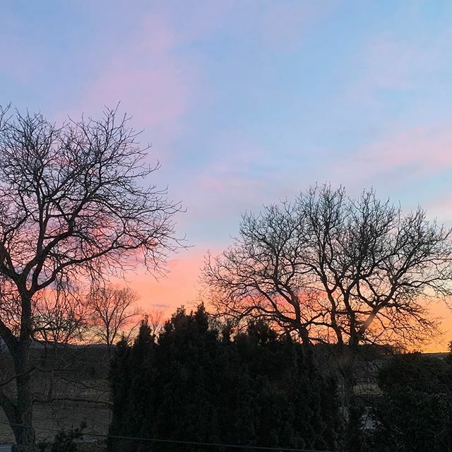 szda's tweet photo. sunset time...
.
#sunset #time #day #dayends #instasunset #instalike #liketime #sun #goodnight #primetime #insta #instamood #instagodd #mood #moodygrams #moodoftheday #instagram #szda https://t.co/KK3vsgGAX2