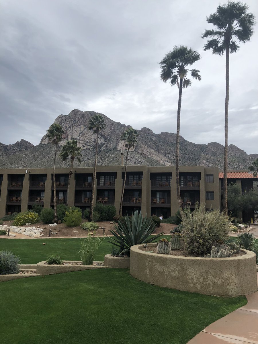 bjones0530's tweet photo. It’s a great morning in Tucson and we are 1 day away from the launch of TobraDex ST and Zerviate! #eyevancevisionquest2020 https://t.co/X2SbfzFfwV