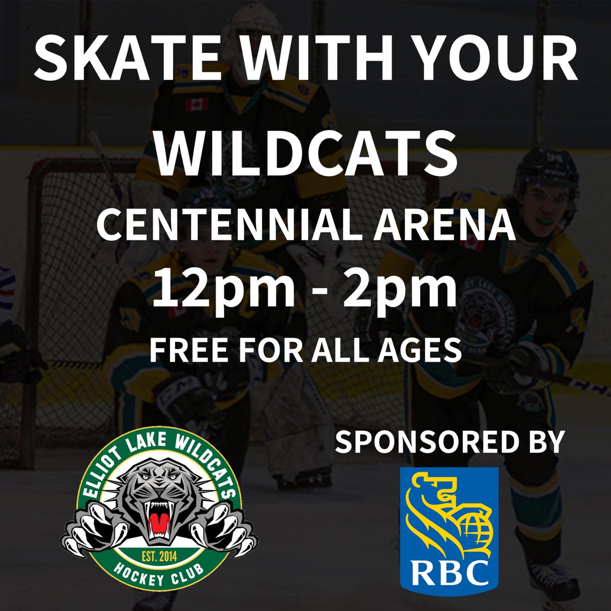 Elliot Lake Red Wings tweet media