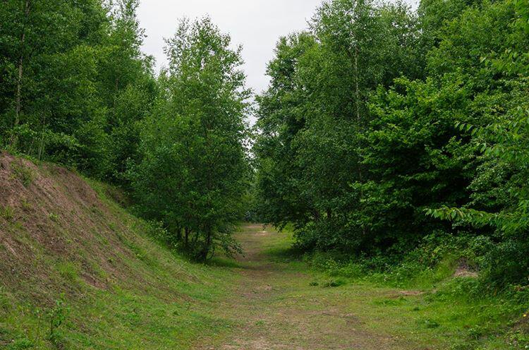 Kirkdale's hidden gem, the #RallaKirkdale, is the most secret of secret gardens in North Liverpool ⬇️⬇️
#raisingtheralla a community-led vision for a happier, healthier, stronger and greener Kirkdale 💚

📸 Kyle May Photographer