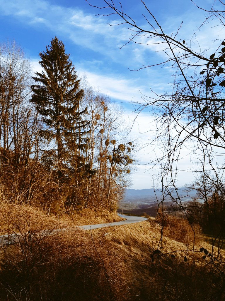 Johanca_4me's tweet photo. #utrinki, ki ti dajo mislit...spoštuj življenje... https://t.co/TcNlRk1OFh