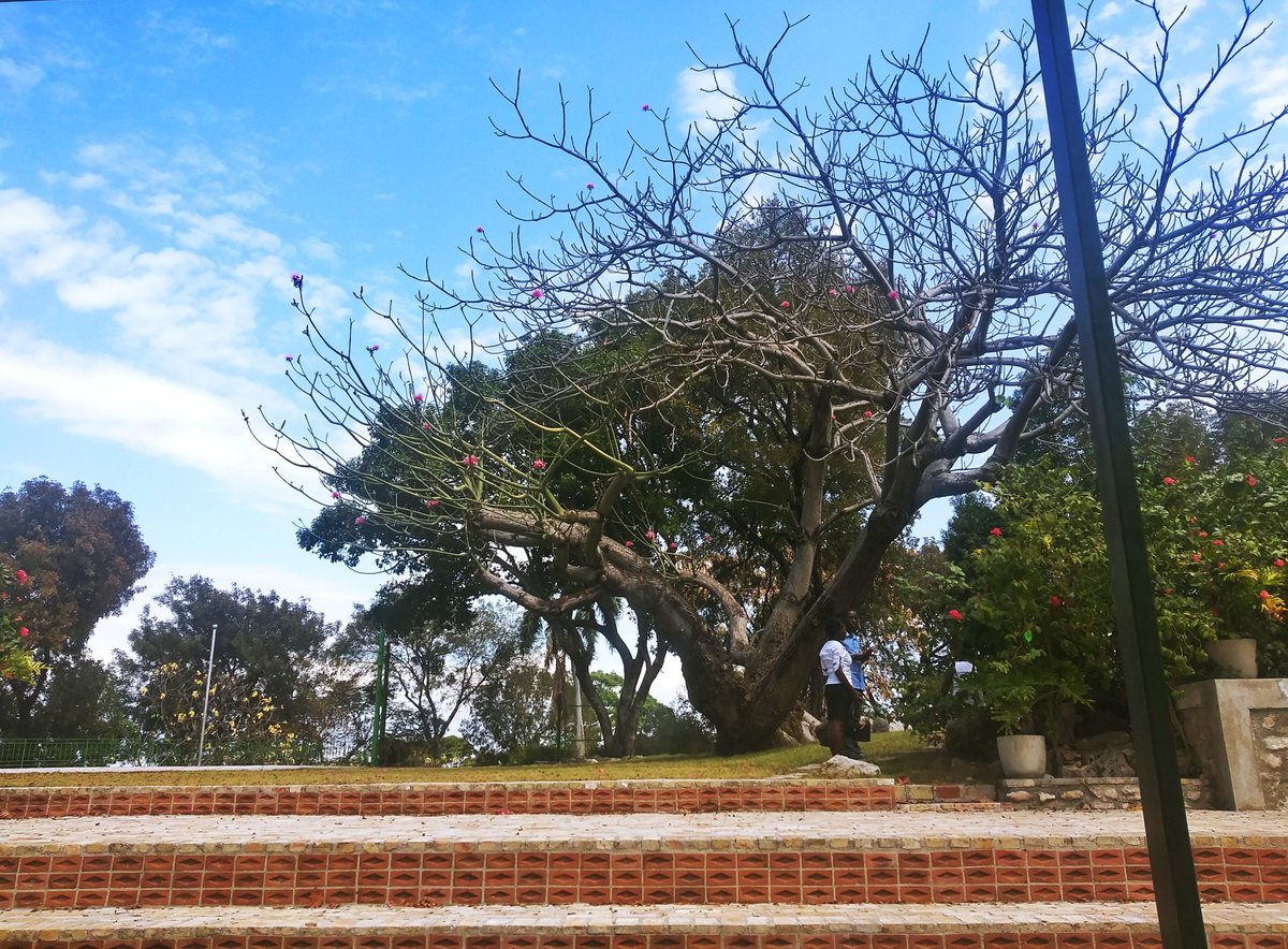 Tino_Pandache's tweet image. Kèk zone atè anpil mounn pa konnen oubyen neglije 
#matisan
#pakleklè
#AndroidPhoto
#SaJemBanm