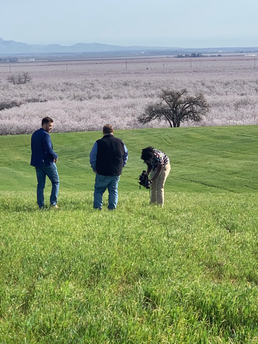 LynnMachon's tweet photo. Not a bad view from my “office” this week. #AlmondBloom. #Outdoortherapy https://t.co/6doURmCALb
