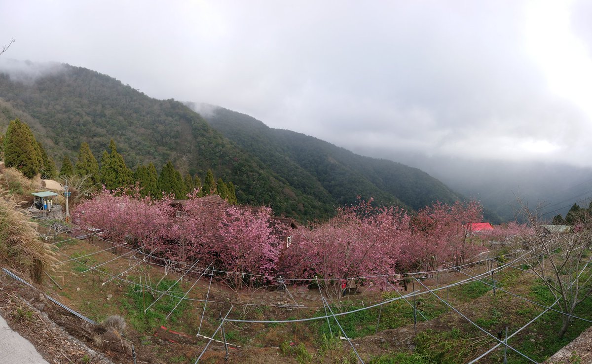 leave6636's tweet photo. 190222 
花見に行く
桜は綺麗だから、
たくさんの写真を撮るヾ(*´∀｀*)ﾉ
今日はとでも楽しいと思う

桜の木の下で、嵐のサクラ咲ケを聞く
ロマンチック(n‘∀‘)ηｵｷﾀﾜｧ https://t.co/kPU3sLKPSJ